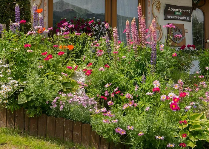 Mirabell سيفيلد ان تيرول